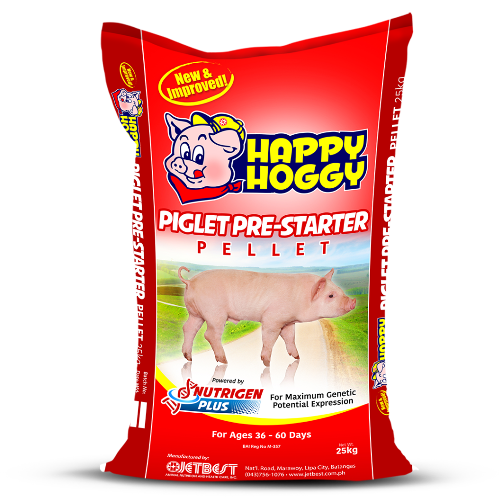 js_happy-hoggy-pigletprestarter