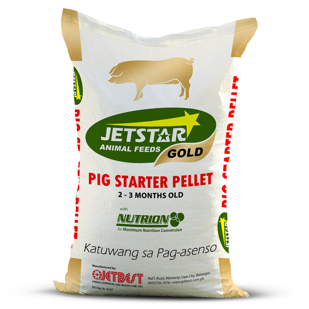 jsgold_pig-starter