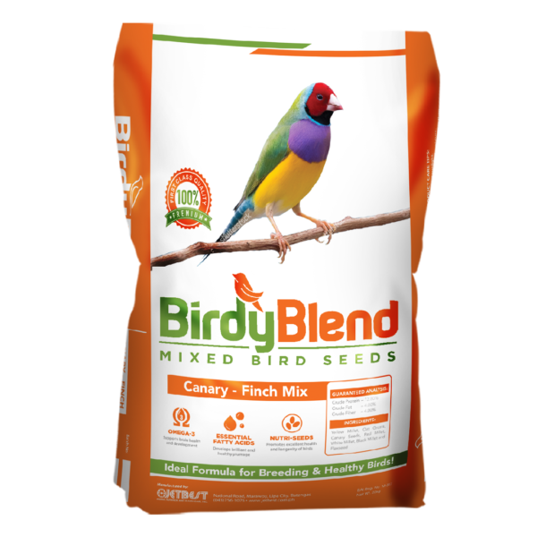 Birdy Blend 